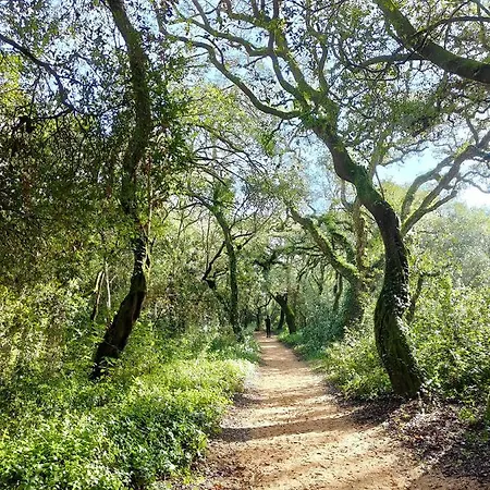 Appartement Flat 23 Bombarral